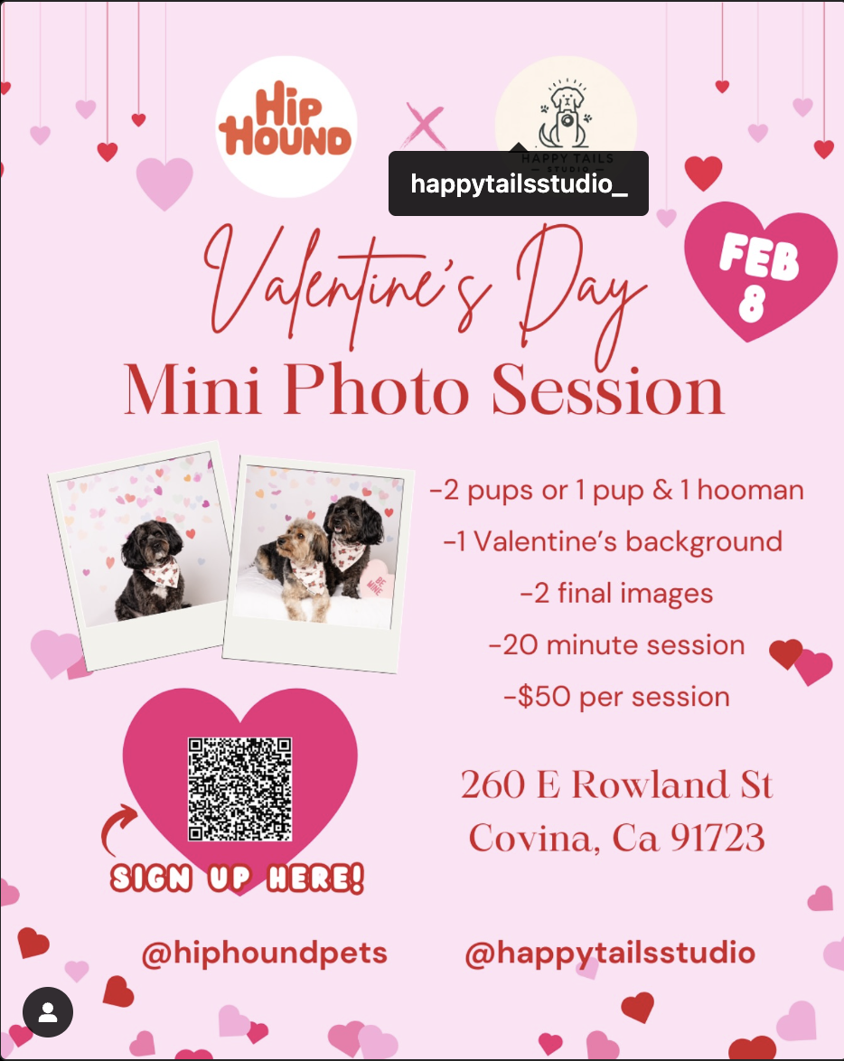 Valentine’s Day Mini Photo Session!